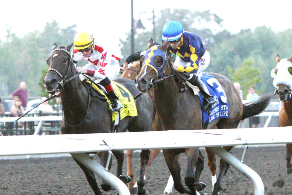 Two jockeys and thoroughbreds neck and neck