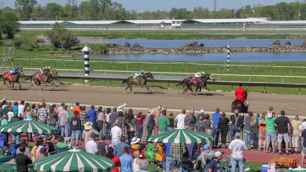 Crowd watching thoroughbreds race