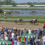 Crowd watching thoroughbreds race