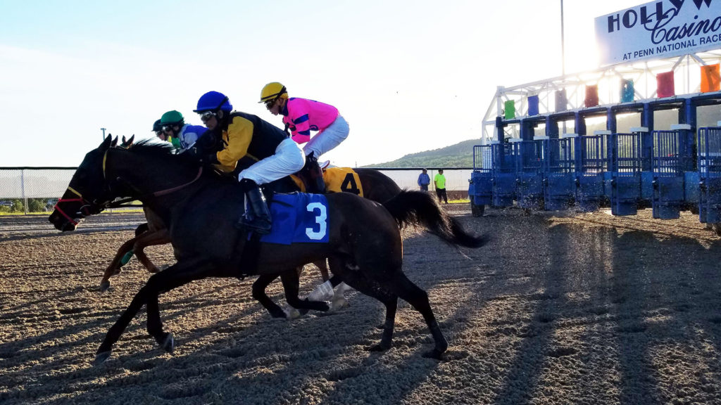 Thoroughbreds racing out of the gate at Penn National