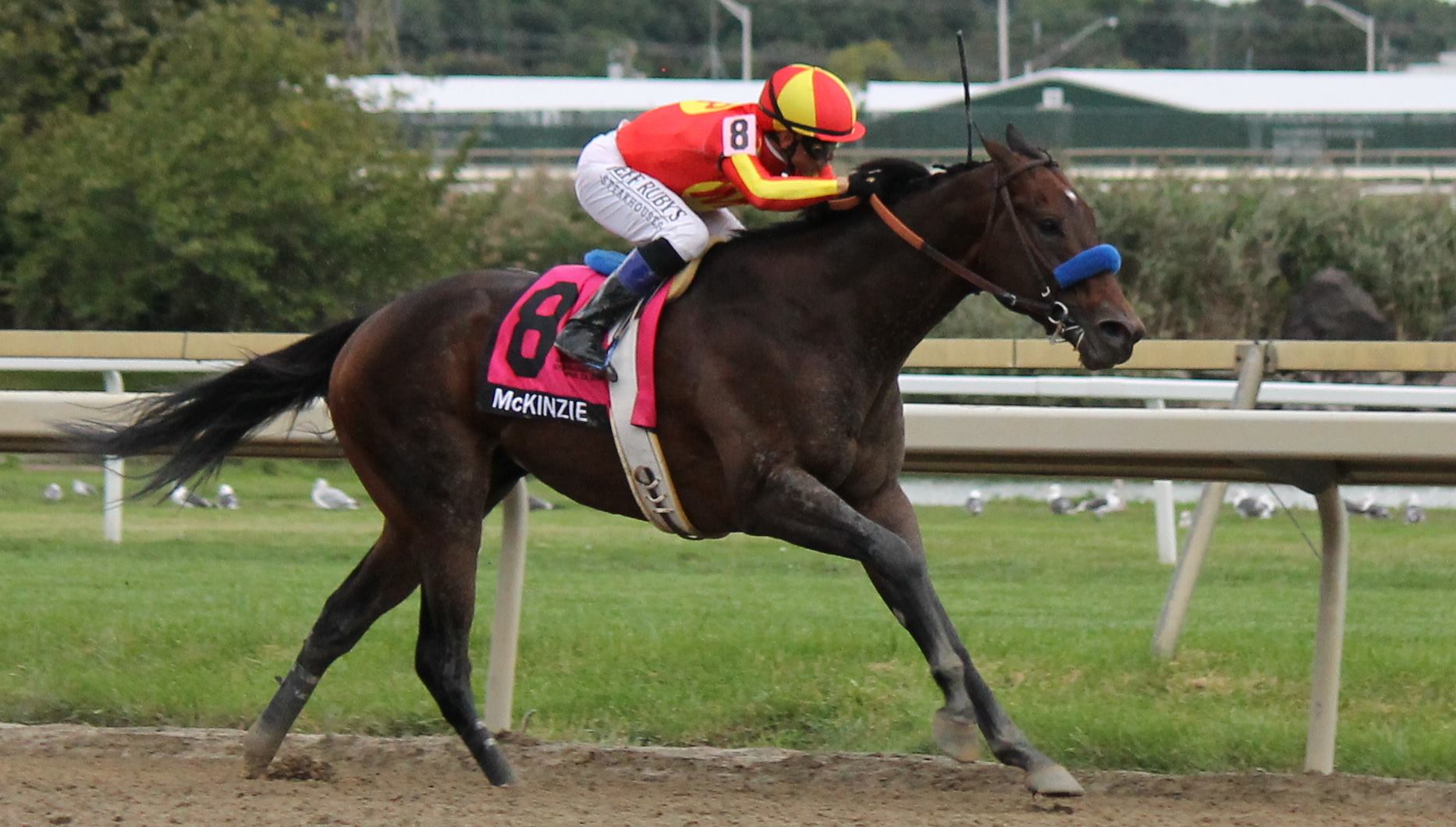 Will Uriah St. Lewis Surprise Us Again? — The Pennsylvania Horse Racing