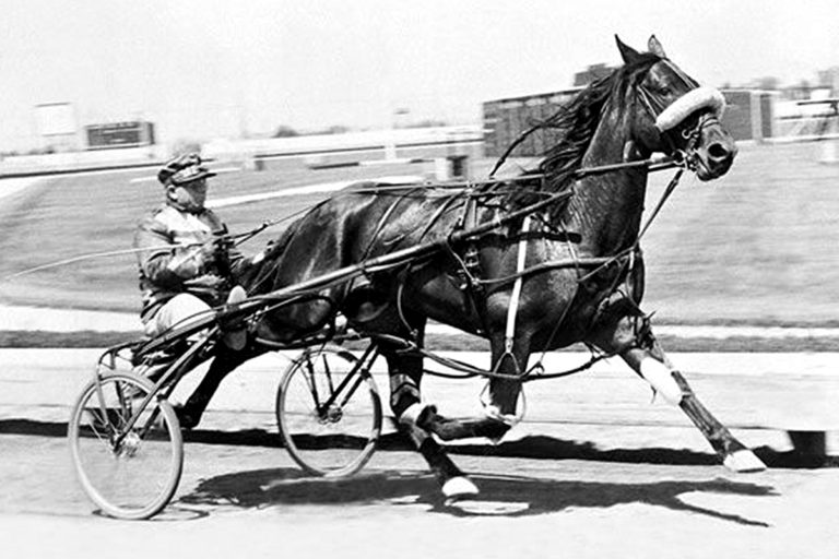 Pennsylvania Horse Racing — Harness Racing