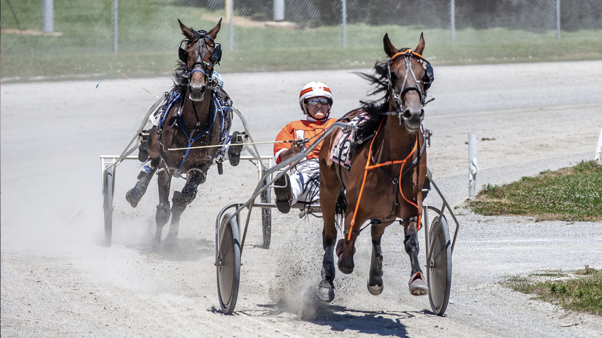 Two standardbred horses coming around the track