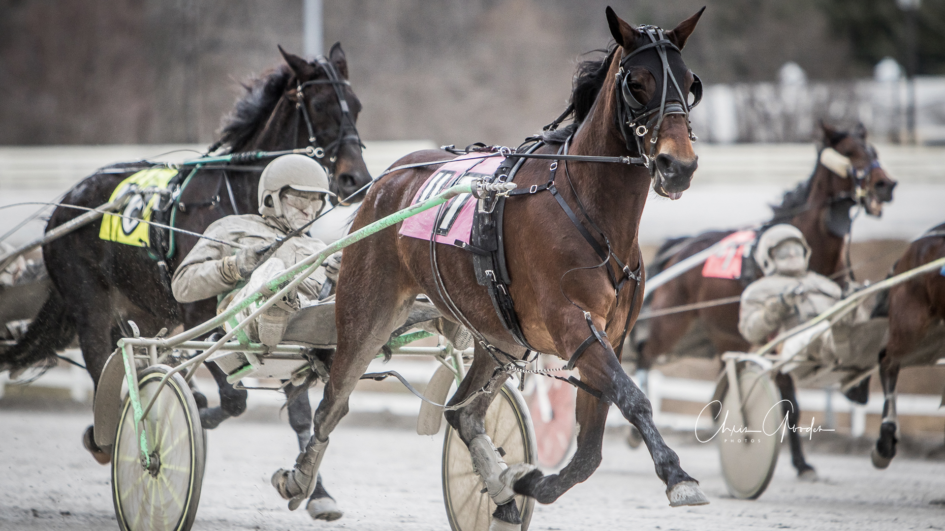 Pennsylvania Horse Racing — Harness Racing