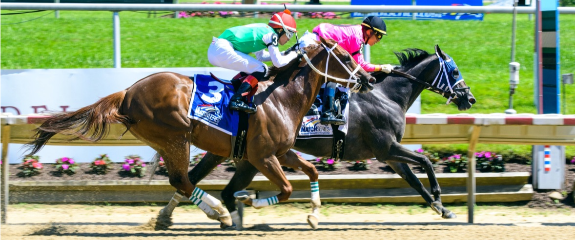 parx casino horse racing