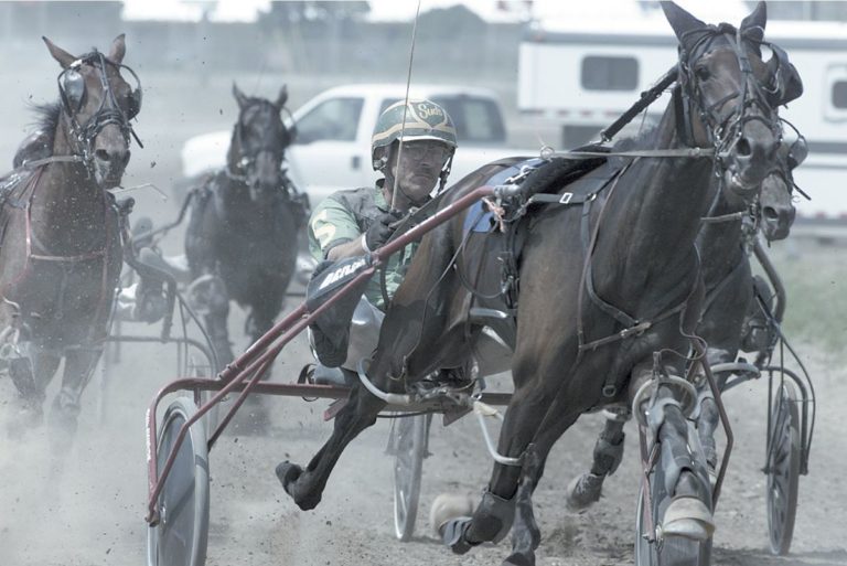 The Evolution of the Race Bike Jerald Sulky — The Pennsylvania Horse