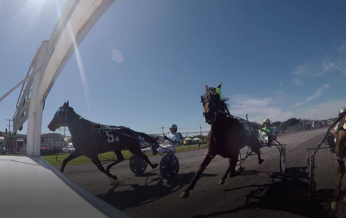 PHRA to broadcast races from Gratz (PA) Fair. — The Pennsylvania Horse