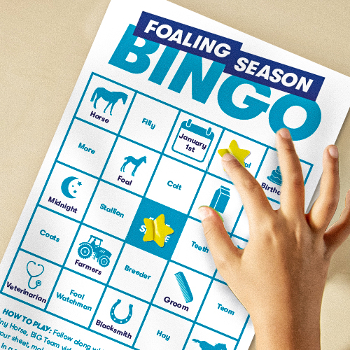Bingo Game Cards