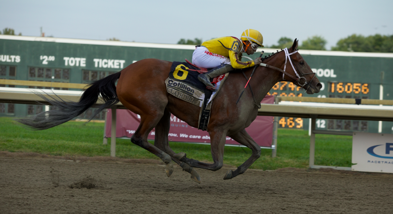 The Star Power of the Cotillion — The Pennsylvania Horse Racing Association