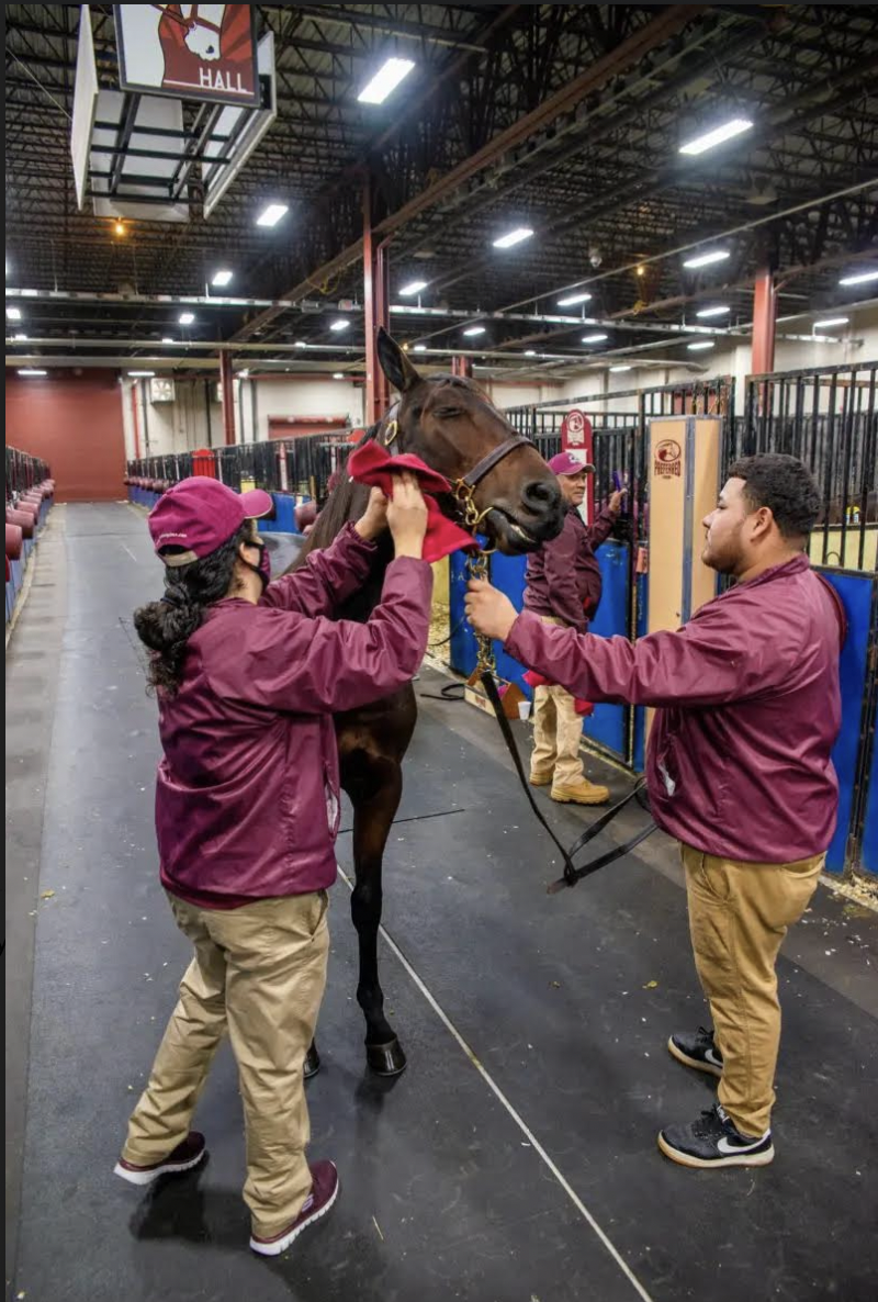 The Harrisburg Standardbred Horse Sale Preview — The Pennsylvania Horse