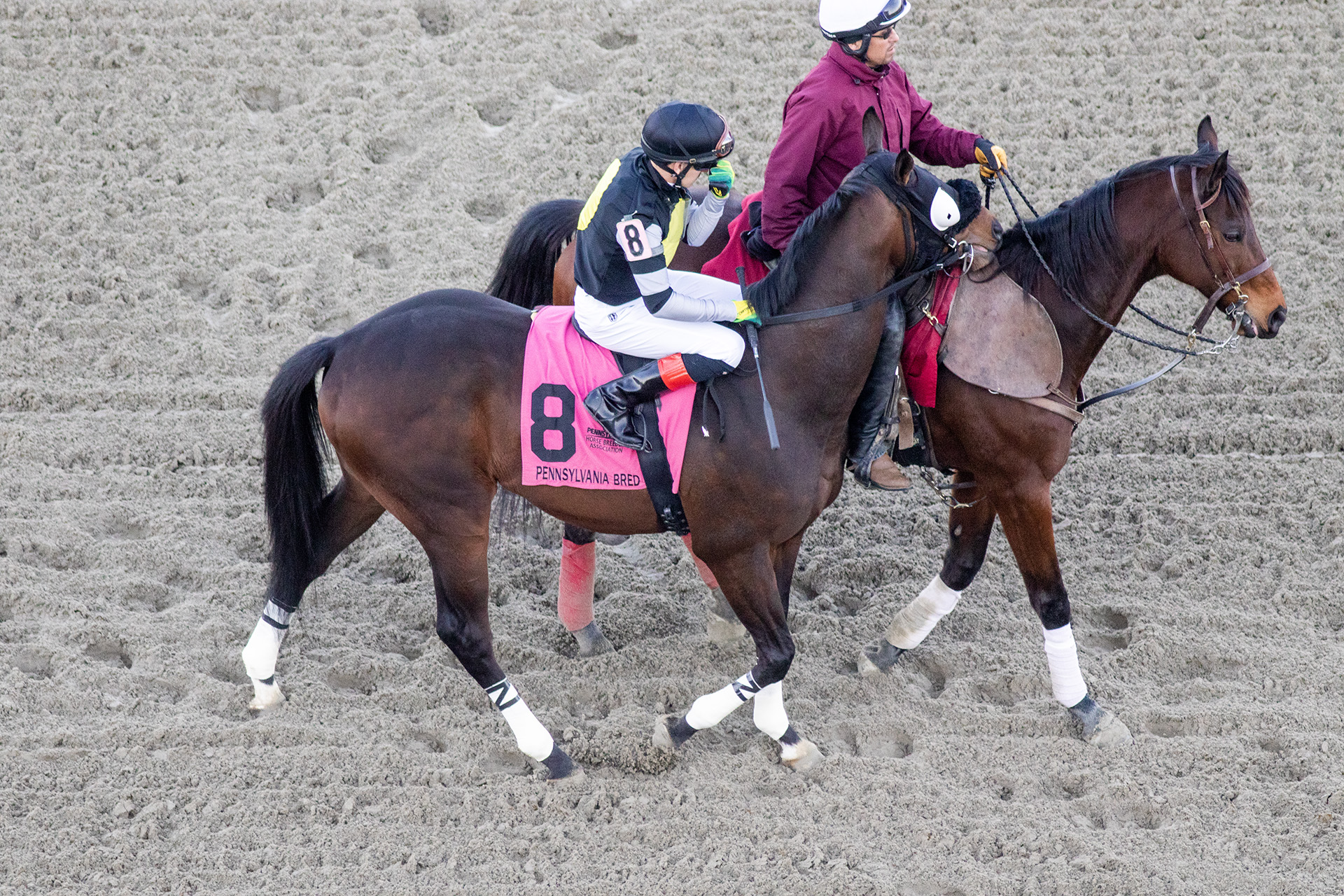 Penn Mile Day 2023 at Penn National Race Course — The Pennsylvania ...