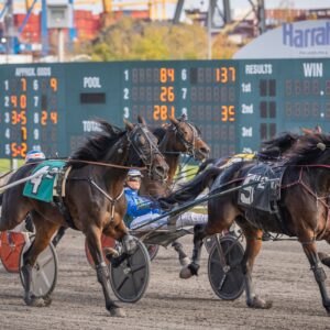Harness Racing at Harrah’s Philadelphia