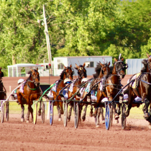 Harness Racing at The Downs at Mohegan Pennsylvania