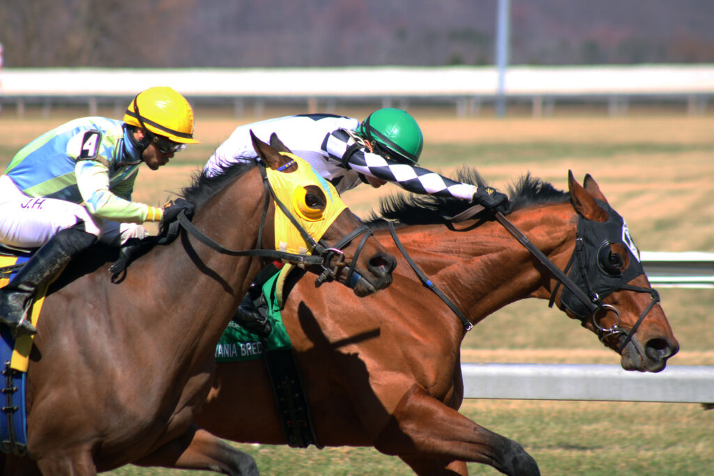 Thoroughbred Racing at Hollywood Casino at Penn National Race Course