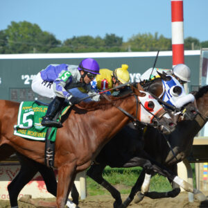 Thoroughbred racehorses at Parx Racing’s Day at the Races.