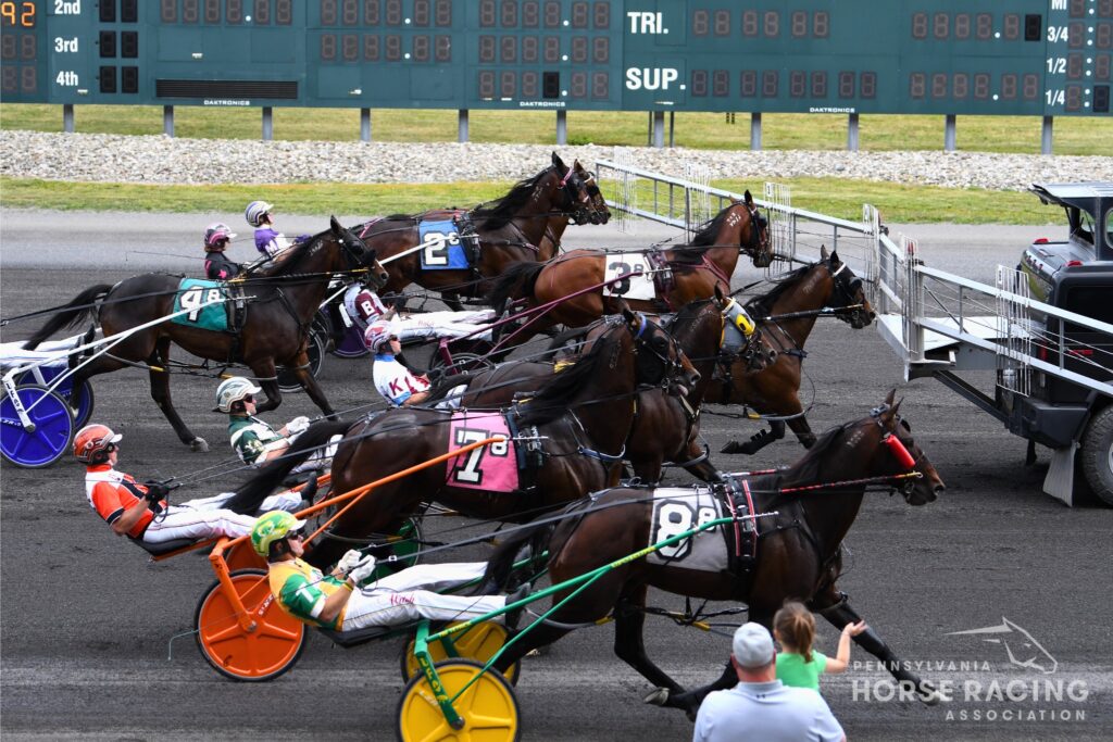 Standardbred racehorses at the car start at Harrah’s Philadelphia. Photo by Averie Levanti.