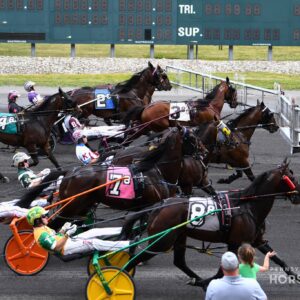 Standardbred racehorses at the car start at Harrah’s Philadelphia. Photo by Averie Levanti.