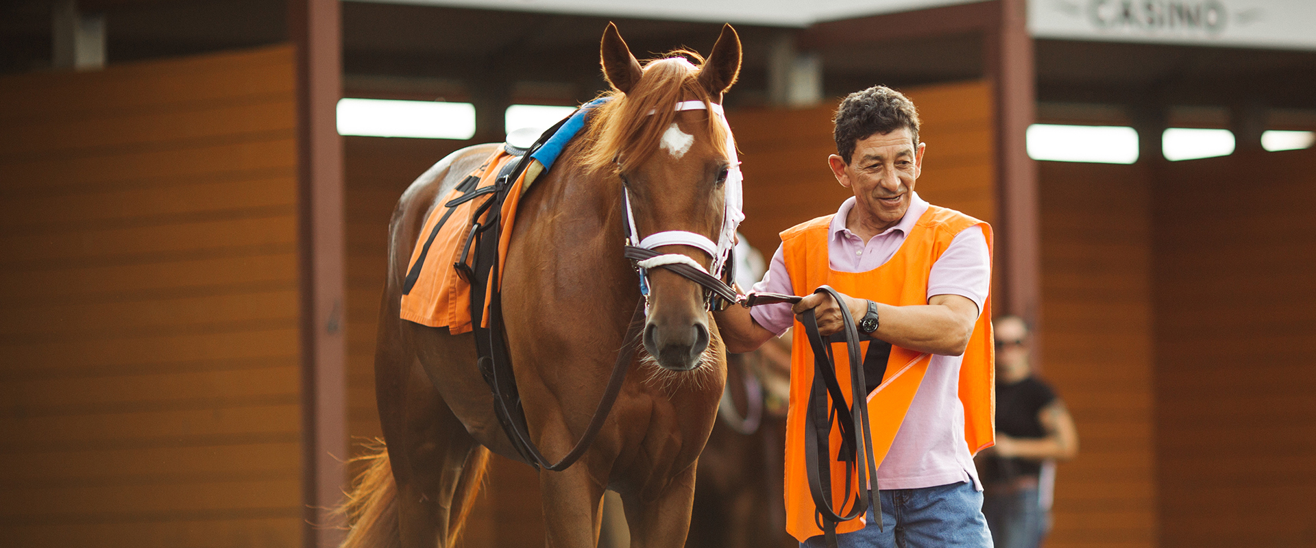 Blog Header Image: A horse with their caretaker at Presque Isle Downs.