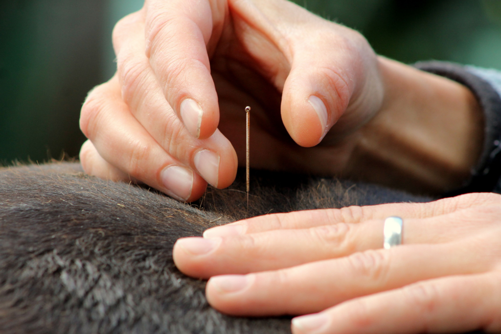 ancient-remedies-the-pennsylvania-horse-racing-association