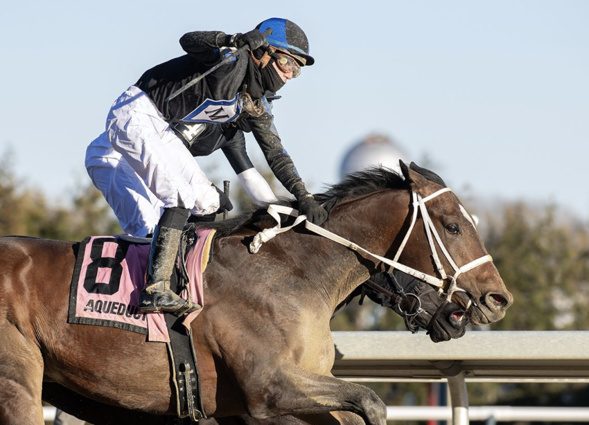 Uncle Heavy Pulls The Upset in the Withers — The Pennsylvania Horse ...