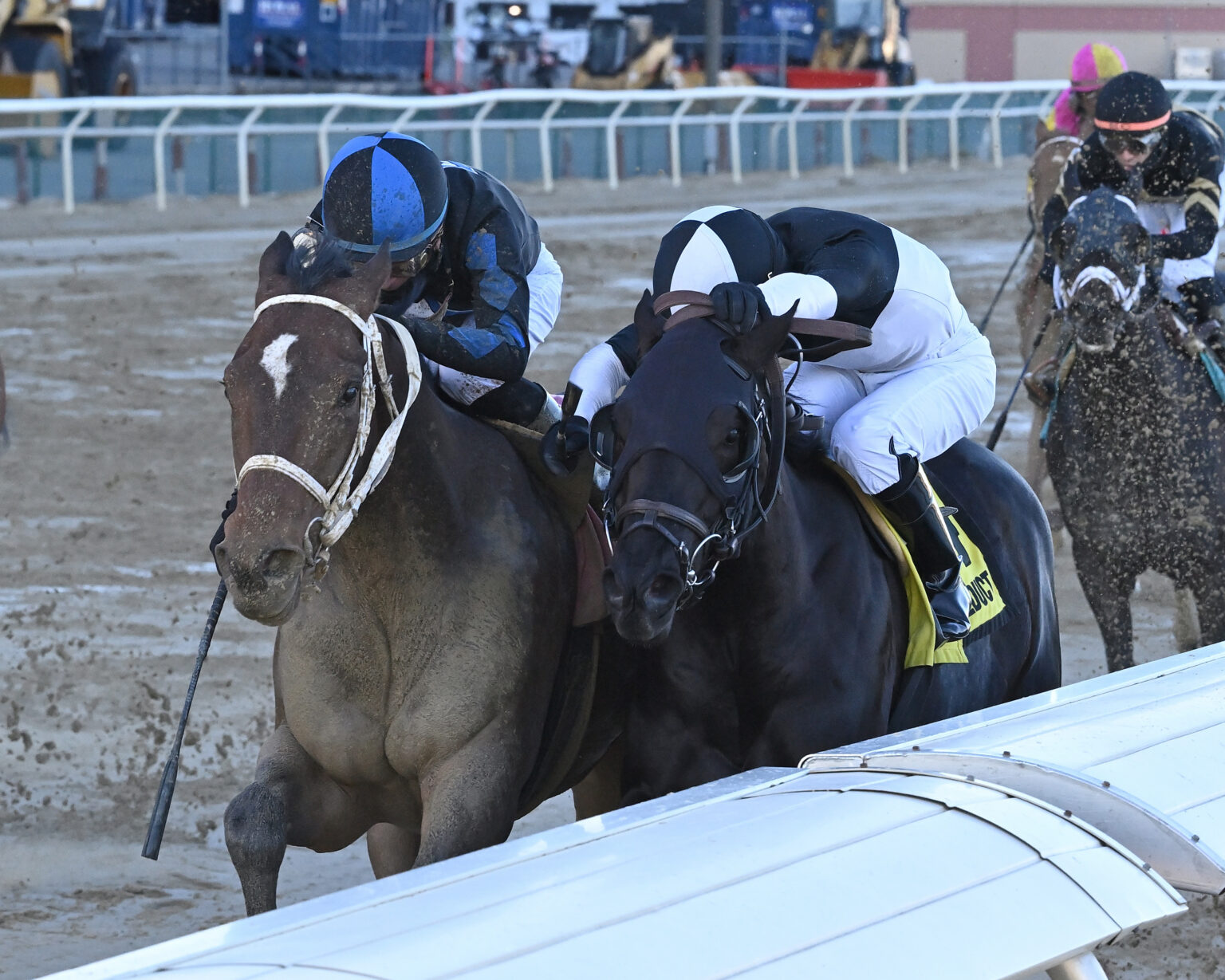On the Triple Crown Trail with Butch Reid — The Pennsylvania Horse ...