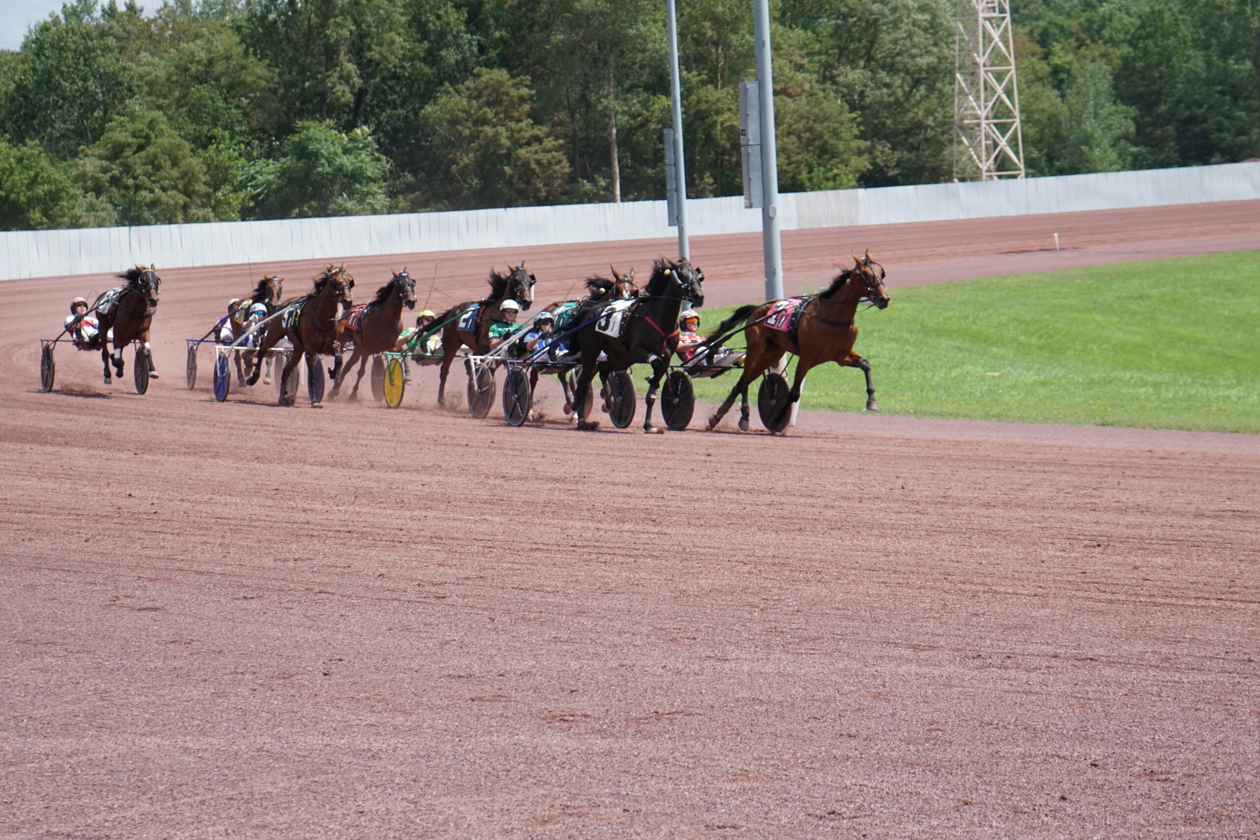 The Stars Shine on Sun Stakes Saturday — The Pennsylvania Horse Racing ...