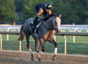 Seize the Grey training at Saratoga | Sarah Andrew