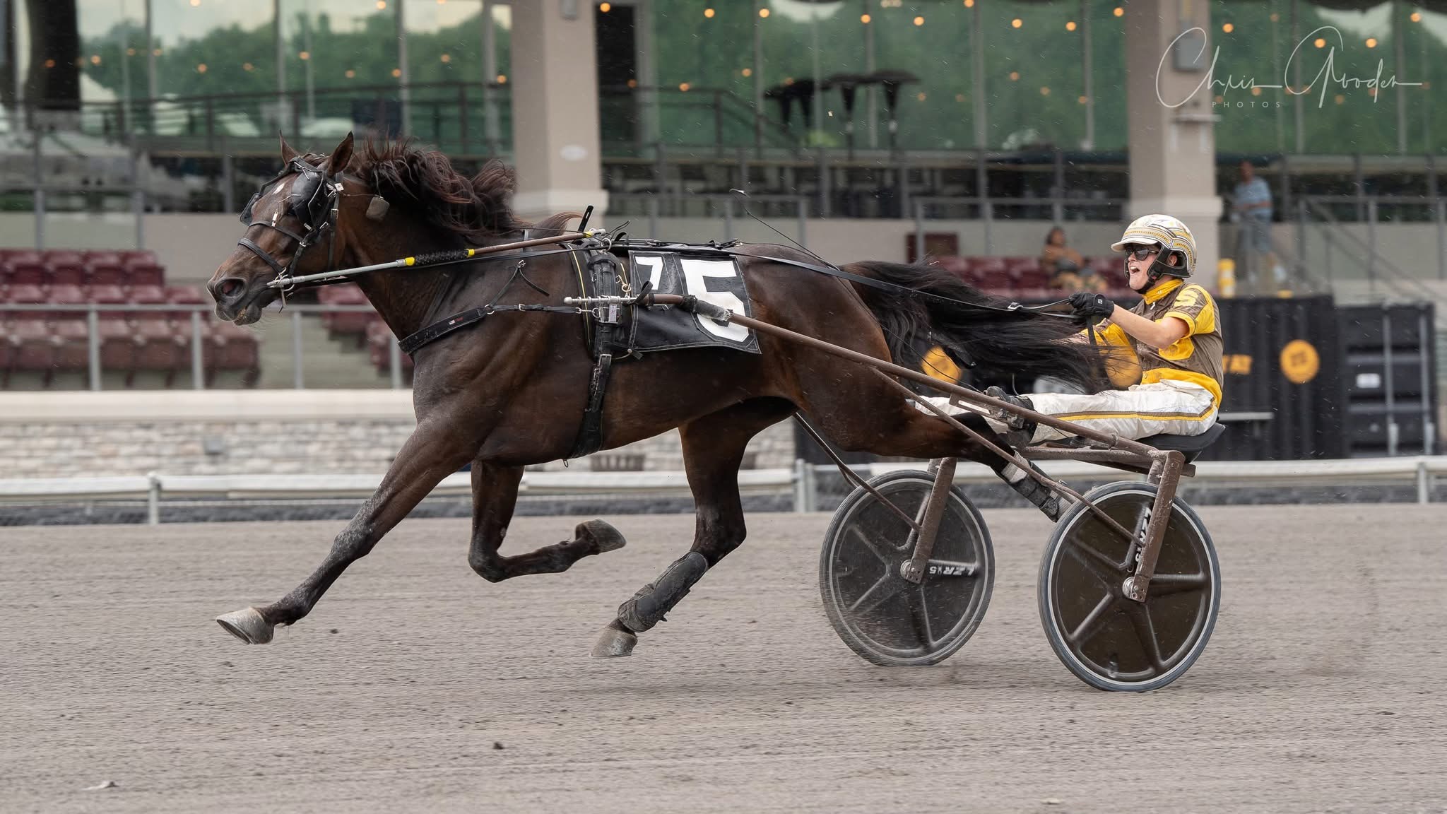 In the Winner’s Circle with Elizabeth Snyder — The Pennsylvania Horse ...